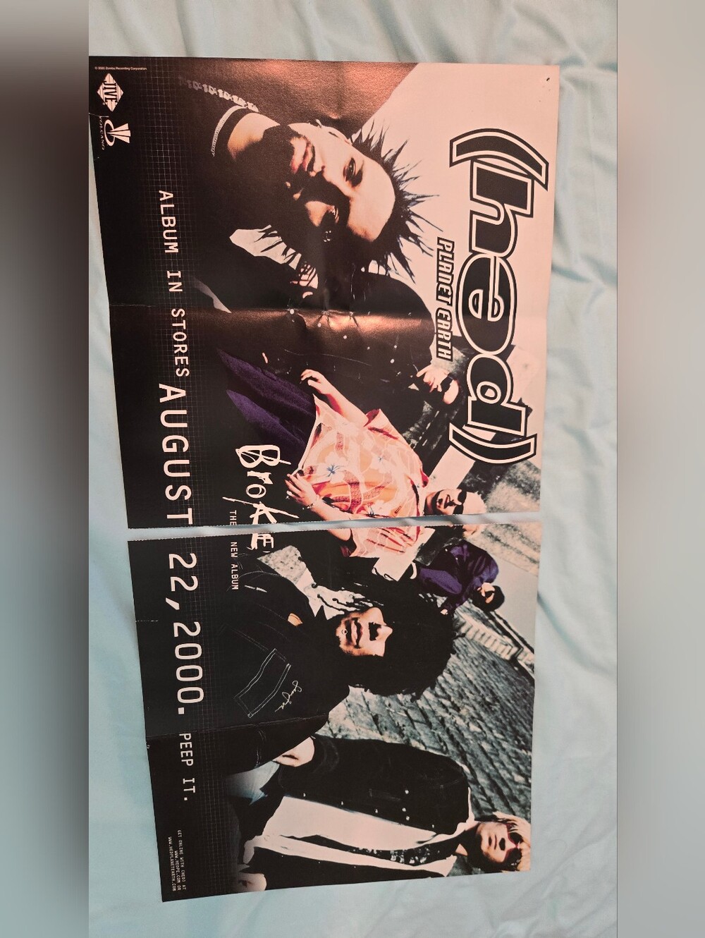Y2k Vintage Hed P.E. Pe Planet Earth Album Promotional Poster BROKE